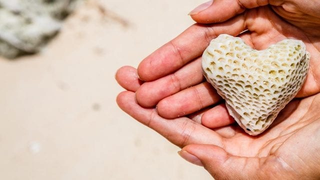 coral calcium health benefits